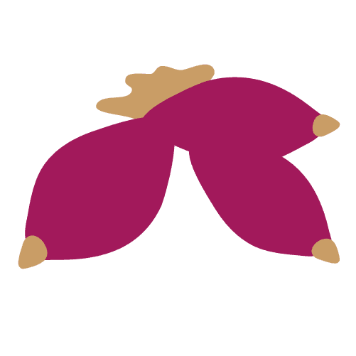Cipolla